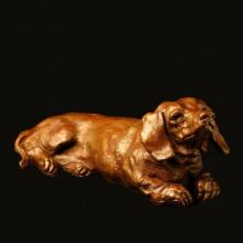 Dachshund